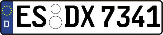 ES-DX7341