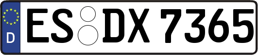 ES-DX7365