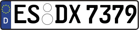 ES-DX7379