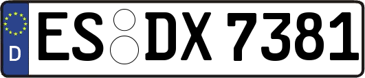 ES-DX7381