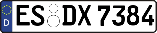 ES-DX7384