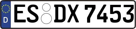 ES-DX7453