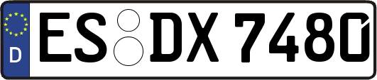 ES-DX7480
