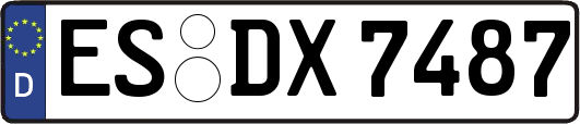 ES-DX7487