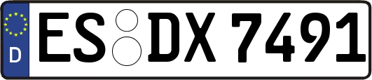 ES-DX7491
