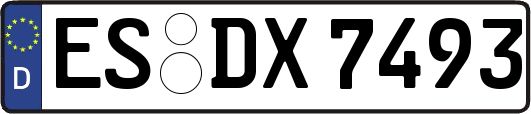 ES-DX7493