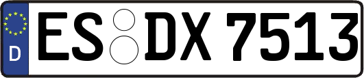 ES-DX7513