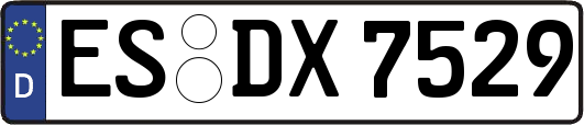 ES-DX7529