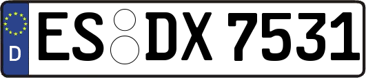 ES-DX7531