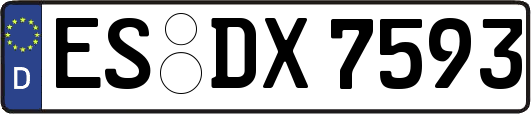 ES-DX7593