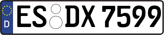 ES-DX7599
