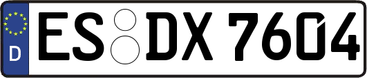 ES-DX7604
