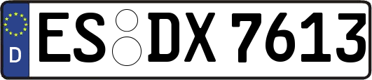 ES-DX7613