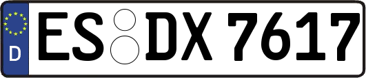 ES-DX7617