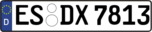 ES-DX7813