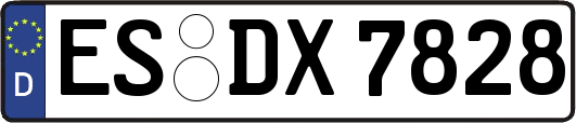 ES-DX7828