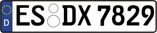 ES-DX7829