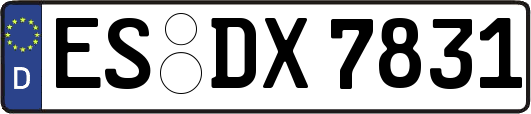 ES-DX7831