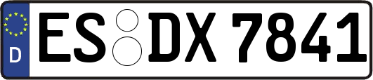 ES-DX7841