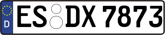 ES-DX7873