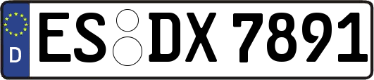 ES-DX7891