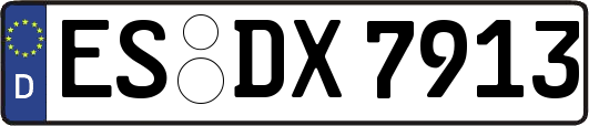 ES-DX7913