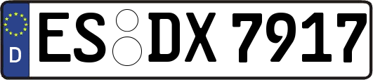 ES-DX7917