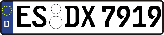 ES-DX7919