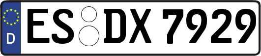 ES-DX7929
