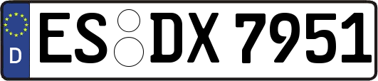 ES-DX7951