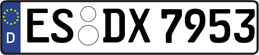 ES-DX7953