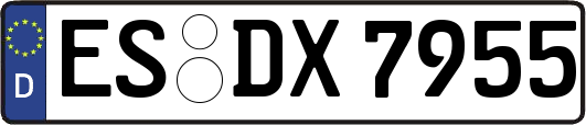 ES-DX7955