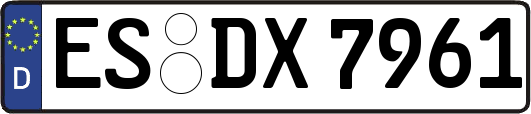 ES-DX7961