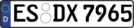 ES-DX7965