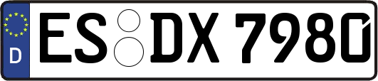 ES-DX7980