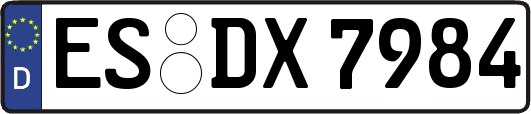 ES-DX7984