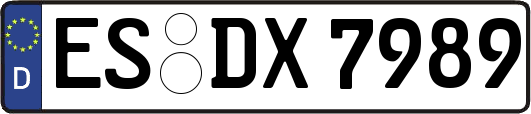 ES-DX7989