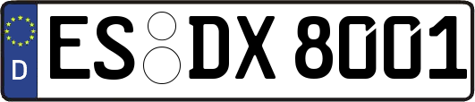 ES-DX8001