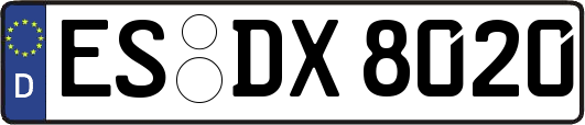 ES-DX8020