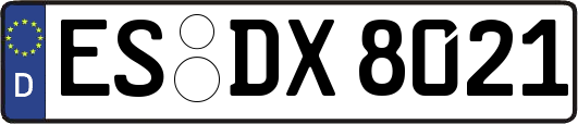 ES-DX8021