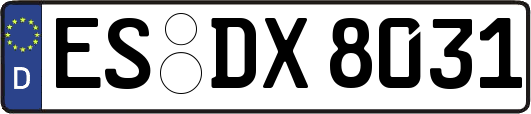ES-DX8031