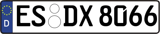 ES-DX8066