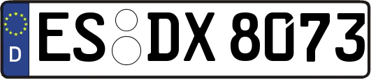 ES-DX8073