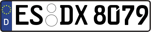 ES-DX8079