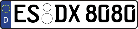 ES-DX8080