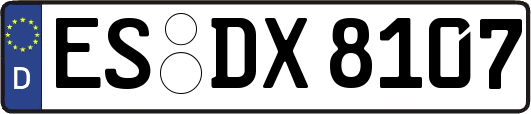 ES-DX8107