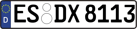ES-DX8113