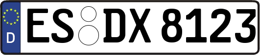 ES-DX8123