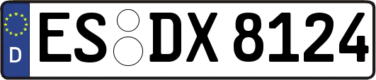 ES-DX8124