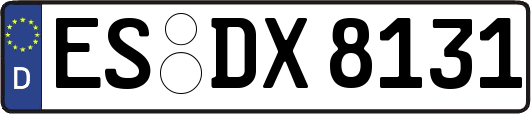 ES-DX8131